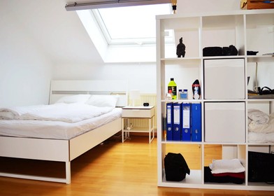 Habitación en alquiler con cama doble Viena