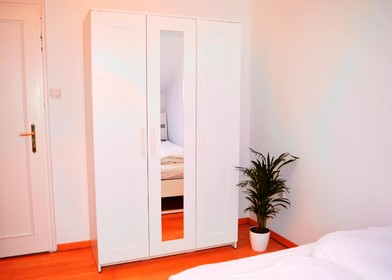 Cheap private room in Vienna