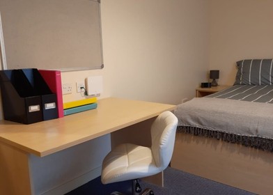 Chambre à louer dans un appartement en colocation à Dundee