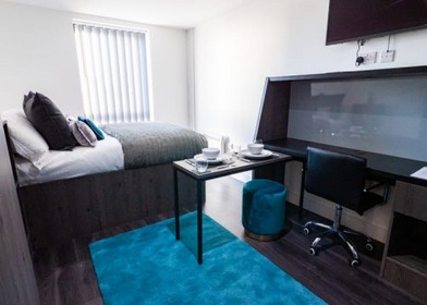 Zimmer mit Doppelbett zu vermieten Newcastle Upon Tyne