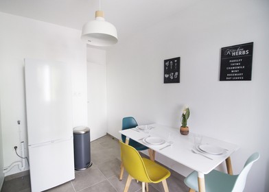 Chambre à louer dans un appartement en colocation à Grenoble