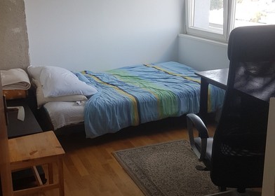 Chambre à louer dans un appartement en colocation à Zagreb