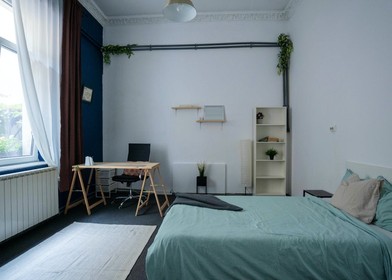 Alquiler de habitación en piso compartido en Bucarest
