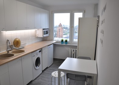 Bright shared room for rent in Wroclaw