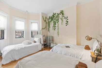 Bright shared room for rent in New York