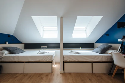 Shared room in 3-bedroom flat Seville