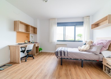 Helles Privatzimmer in Logroño