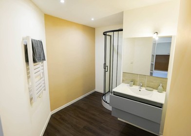 Zimmer mit Doppelbett zu vermieten Limoges