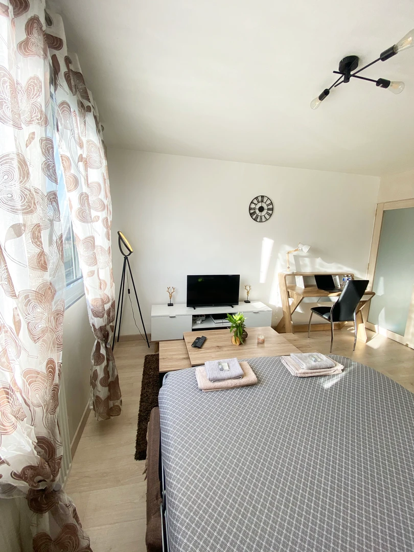 Bright private room in Nice