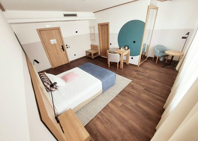 Pokój do wynajęcia z podwójnym łóżkiem w Sofia