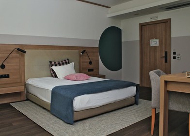 Pokój do wynajęcia z podwójnym łóżkiem w Sofia