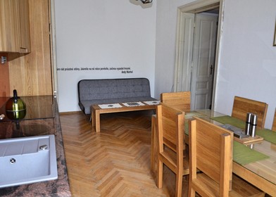 Bright private room in Brno