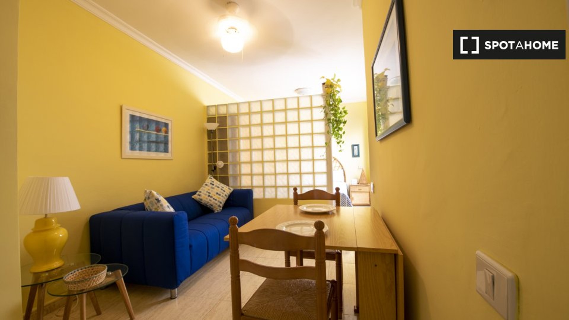 Great studio apartment in Las Palmas (gran Canaria)