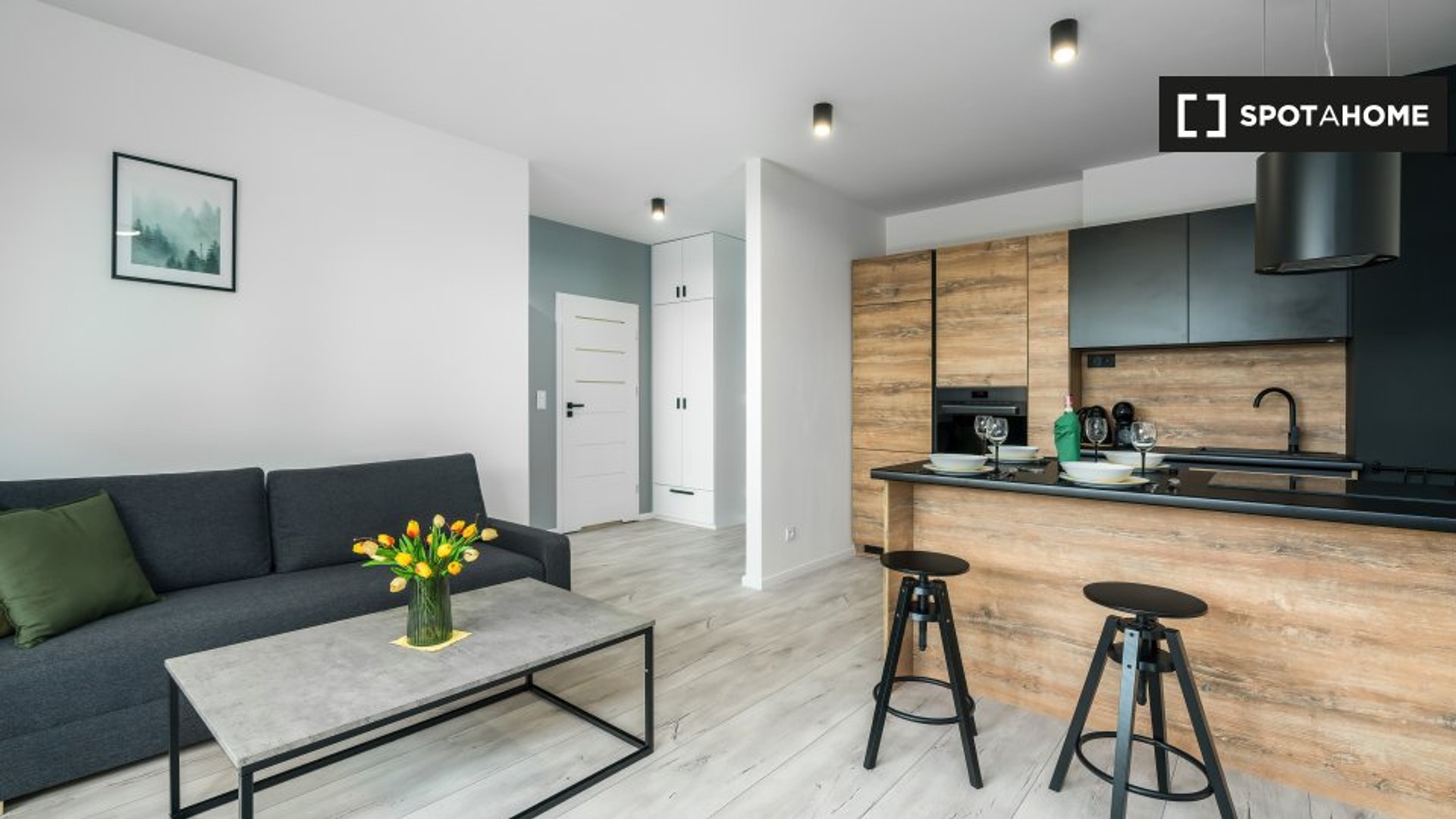 Modern and bright flat in Poznań